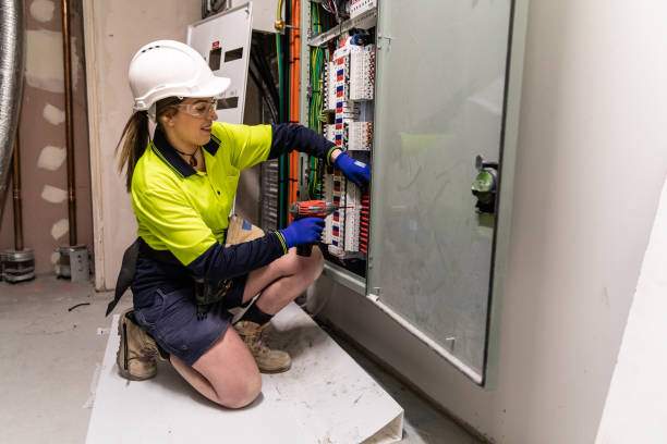 Best Electric Panel Repair  in Hazel Crest, IL